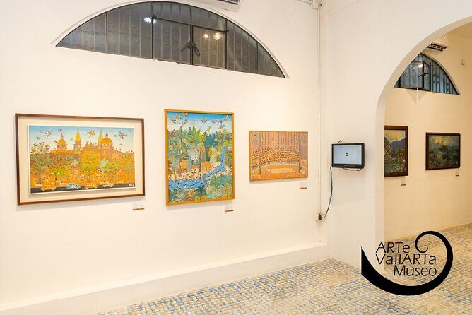 Admission Arte Vallarta Museum - Who Should Consider This Tour?