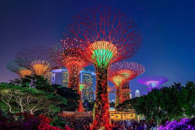Admission E-Ticket to Gardens by the Bay Singapore - A Look at the Gardens by the Bay E-Ticket Experience in Singapore