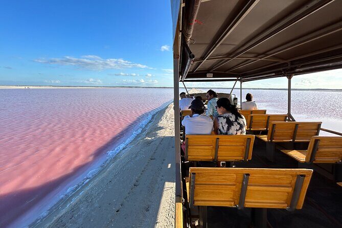 Admission Ticket to Safari in the Pink Lagoons of Las Coloradas - What to Expect from the Tour