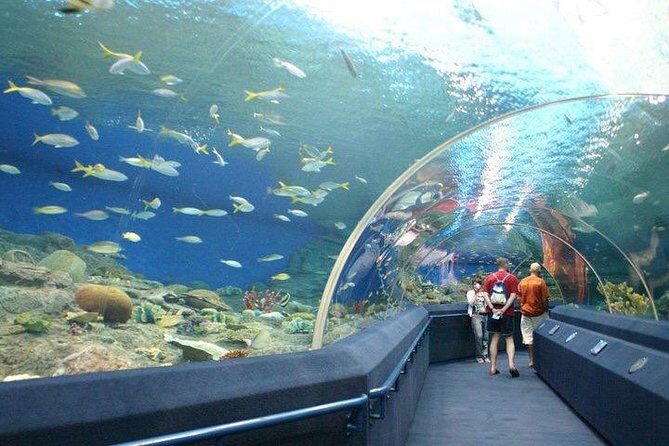 Admission Ticket to Underwater World Pattaya with Return Transfer - Who Will Enjoy This Tour?