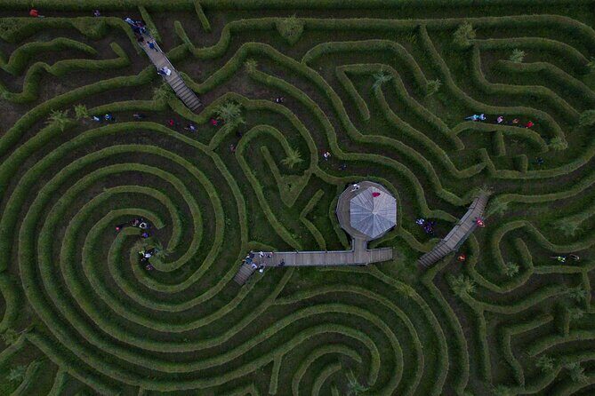 Admission to the Alpinia Nature and Adventure Park - In-Depth Look at the Experience