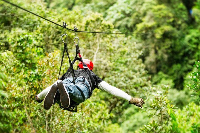 Adrenaline experience from Cancun Atvs Ziplines and a Mayan Cenote - Key Points