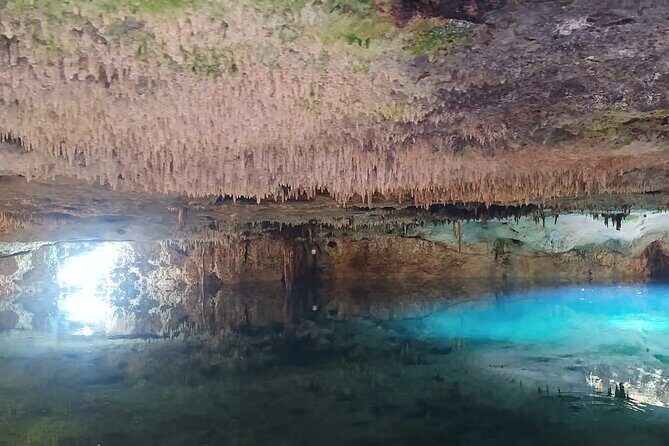 Adrenaline Full Day at Riviera Maya to our Ecological Park - In The Sum Up