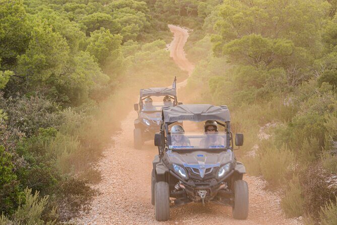 Adrenaline Quad Safari Tour - What to Expect from the Adventure