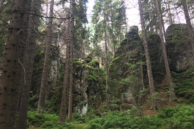 Adrspach Teplice Rocks Filming Site of The Chronicles of Narnia - Authentic Reviews and Insights