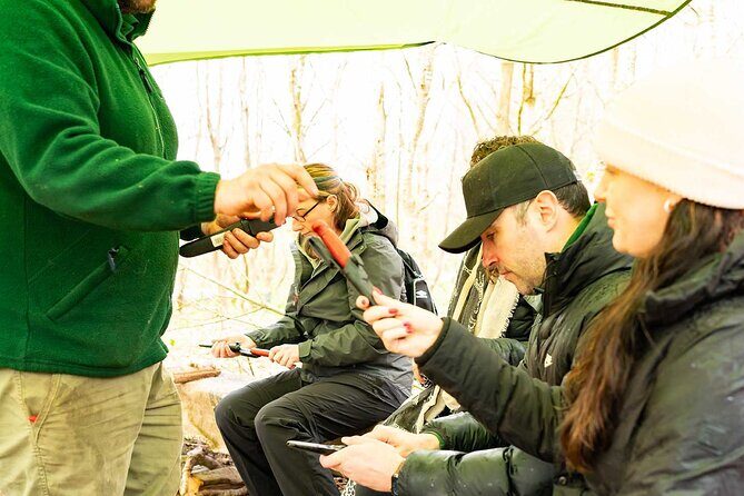 Adult Foraging Walk & Bushcraft Cookery Course for Beginners - A Closer Look at the Foraging & Bushcraft Experience