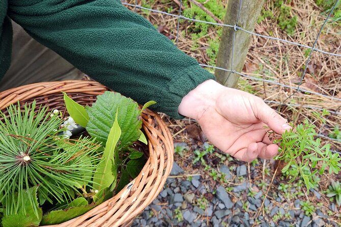 Adult Foraging Walk & Bushcraft Cookery Course for Beginners - FAQ
