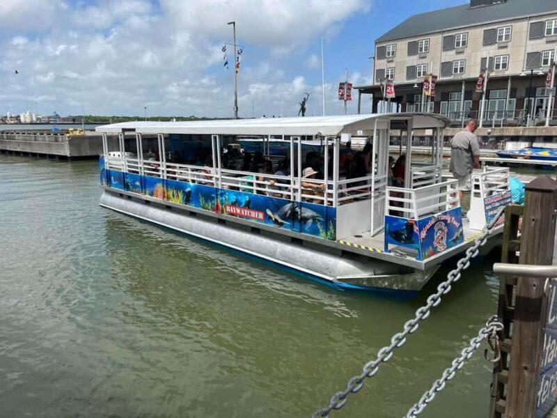 Adult Galveston Sunset Cruise 21 and up - A Close Look at the Experience