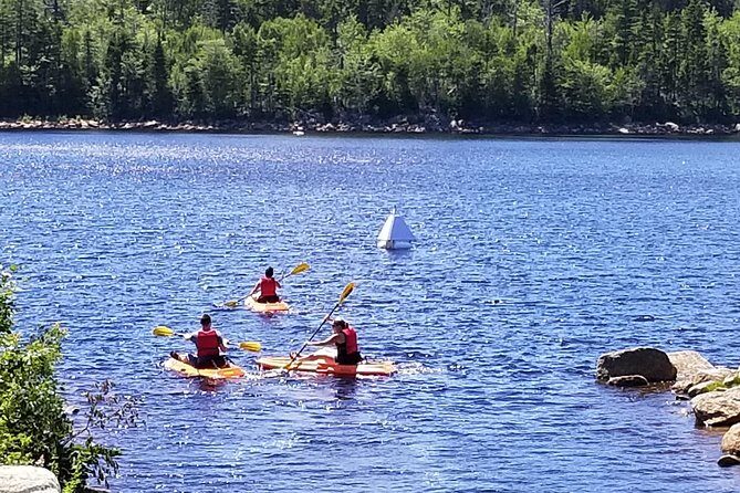 Adult Single Kayak Rental - A Thorough Look at Halifax’s Adult Single Kayak Rental