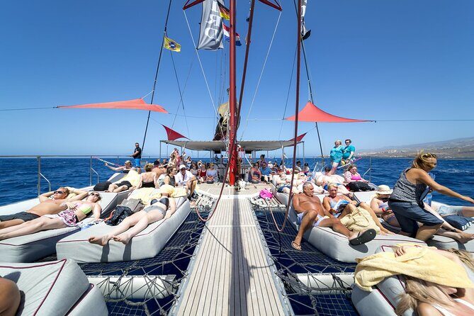 Adults Only Tenerife Freebird Whale Dolphin Catamaran with Lunch - A Closer Look at the Experience