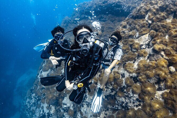 Advanced Adventurer - 2 days ( Advanced Open Water) - In-Depth Review of the Koh Tao SSI Advanced Adventurer Course
