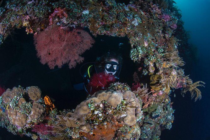Advanced Open Water Course - Advanced Certification in Tulamben - Final Summary