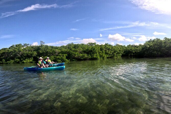 Adventure and Wildlife Watch Kayak Rentals in Sarasota - The Practical Side: Booking, Cancellation, and Logistics