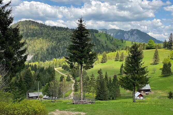 Adventure day trip from Iasi | Hiking in the Carpathian Mountains - Who This Tour Is Perfect For