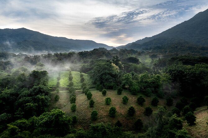 Adventure DE Ziplines and Exotic Gardens EN Huatulco - The Sum Up