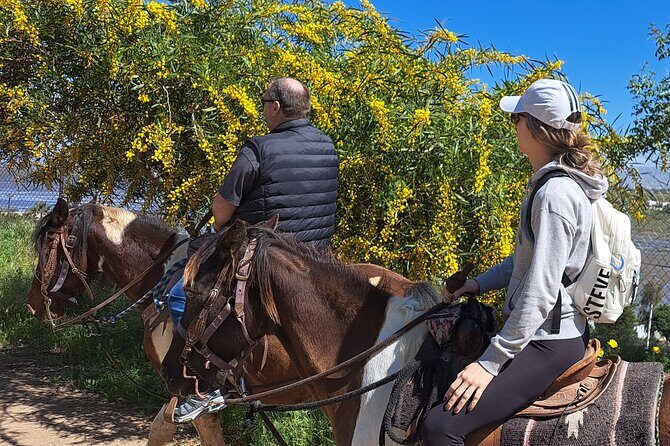 Adventure Delight The Ultimate Combo Ride at Desert Trails - The Experience in Detail