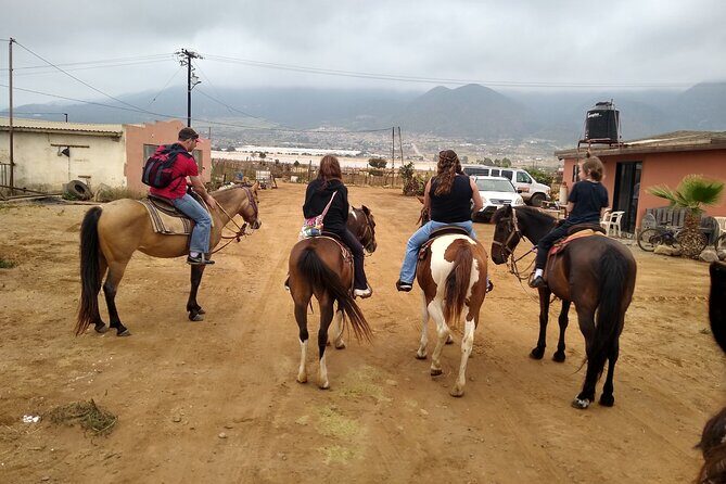 Adventure Delight The Ultimate Combo Ride at Desert Trails - Authentic Feedback from Past Participants