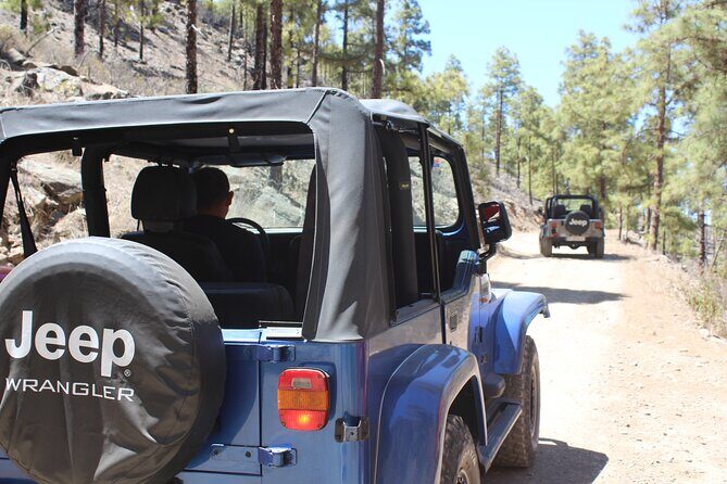 Adventure Driving Jeep Tour in Gran Canaria - Key Points