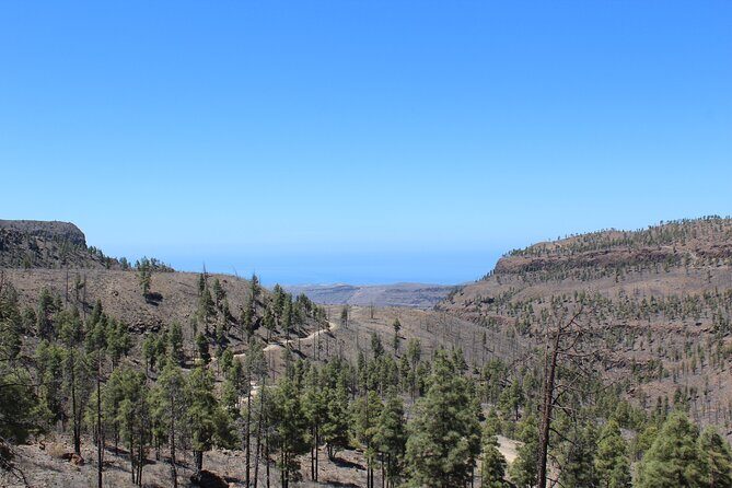Adventure Driving Jeep Tour in Gran Canaria - Who Should Book This Tour?