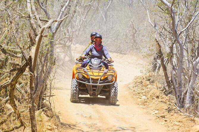 Adventure in Los Cabos Margaritas beach in ATV/UTV desert tour - Who Will Love This Tour?