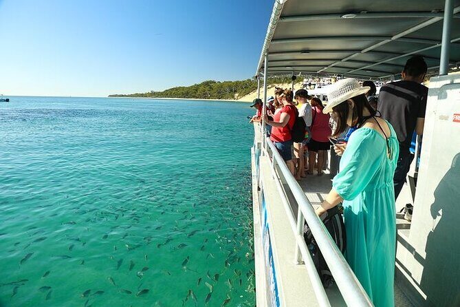 Adventure Moreton Island Wrecks Adventure Package - Key Points
