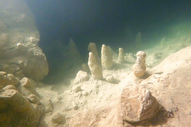 Adventure on the cenote route with zip line and typical lunch - What to Expect from the Tour: A Step-by-Step Breakdown