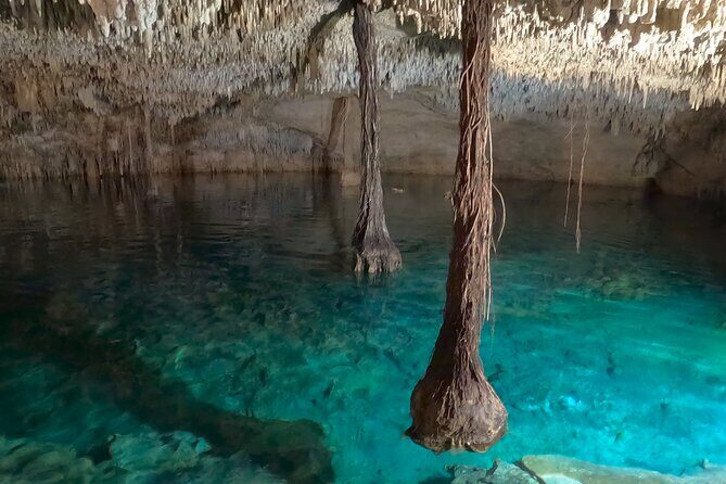 Adventure on the cenote route with zip line and typical lunch - Who Would Enjoy This Tour Most?