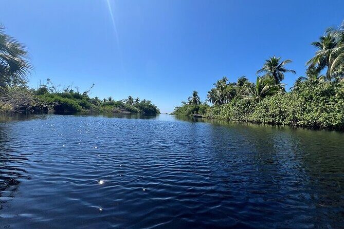 Adventure on the Emerald Coast Ventanilla, Mazunte, Puerto Ángel - Exploring the Itinerary in Detail