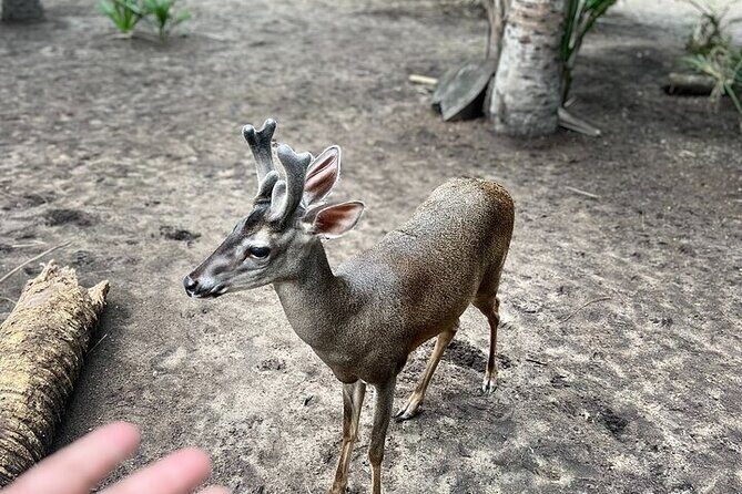 Adventure on the Emerald Coast Ventanilla, Mazunte, Puerto Ángel - Final Thoughts: Who Should Consider This Tour?