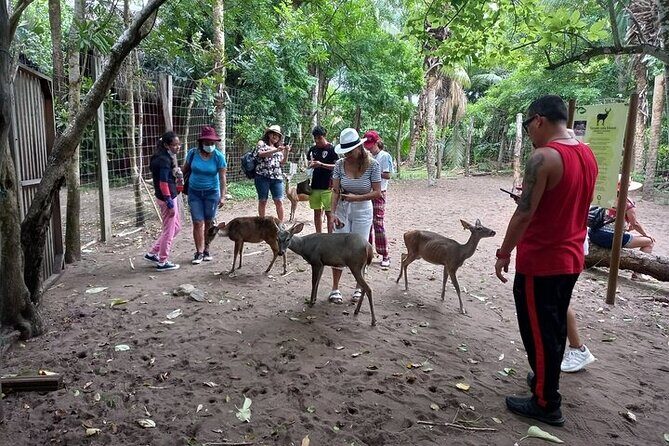 Adventure on the Emerald Coast Ventanilla, Mazunte, Puerto Ángel - FAQs