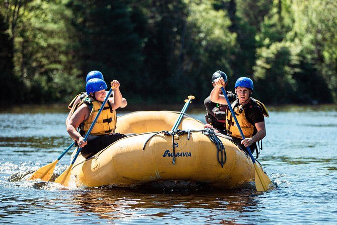 Adventure Rafting on the Madawaska River - Who Should Book This Tour?