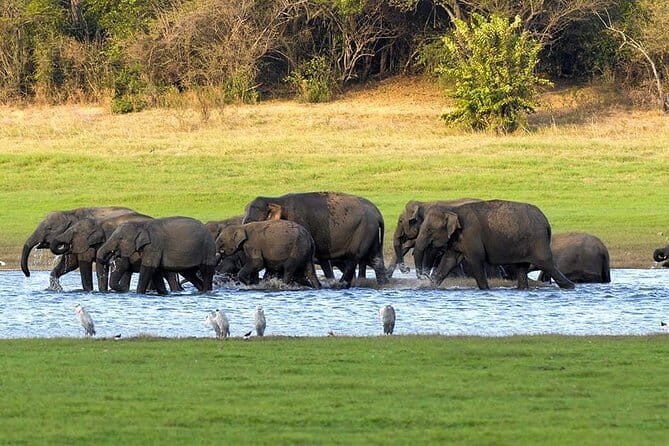 Adventure safari Experience in Hurulu Eco Park, Sri Lanka - FAQ
