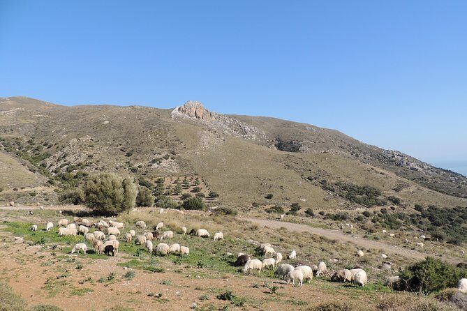 Adventure Safari Tour Secrets of the southern Crete - Off-Road Route to Keratokampos and the Waterfall