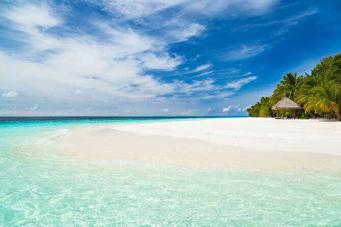 Adventure through the Mayan Jungle Kaan Luum Lagoon & 2 Cenotes - The Sum Up