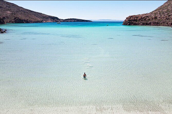 Adventure to Espiritu Santo Island: Snorkel with Sea Lions and Beach - Key Points