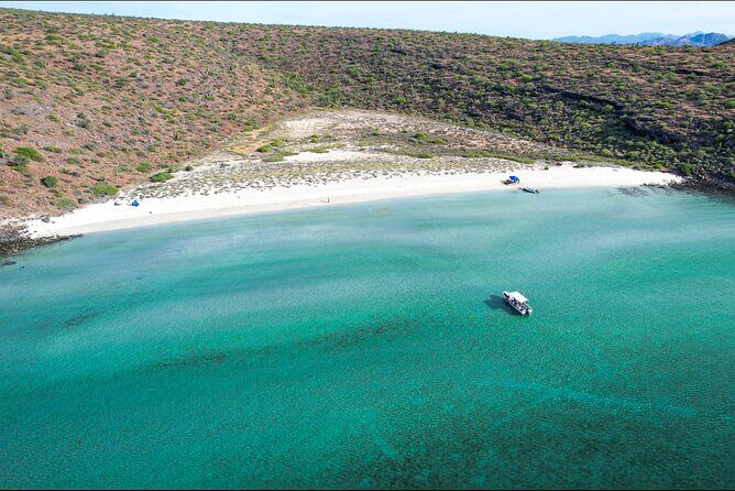 Adventure to Espiritu Santo Island: Snorkel with Sea Lions and Beach - Wildlife and Marine Encounters Beyond Sea Lions