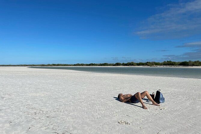 Adventure to Holbox Punta Mosquito by Ferry from Playa del Carmen - Who Will Love This Tour?