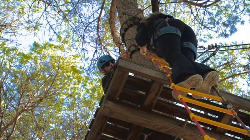 Adventure Trails Ticket - Who Would This Experience Suit?