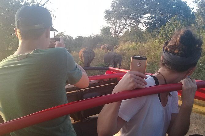 Adventure trincomalee to sigiriya and wild safari ,village tour - Village Tour and Authentic Encounters