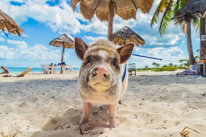 Adventure trip in koh Phangan - Final Thoughts