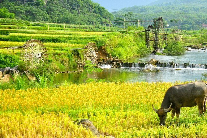 Adventure Trip To Pu Luong Retreat (Private Tour 2 Days 1 Nights ) - Final Thoughts: Why You Should Consider This Tour