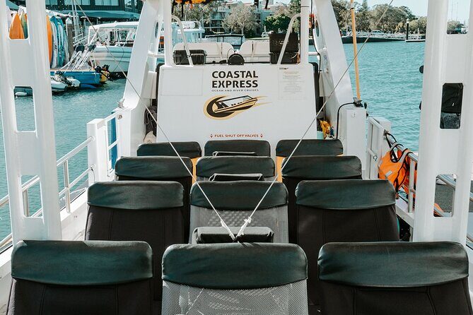 Adventure Whale Watching Tour Mooloolaba - What Do the Reviews Say?