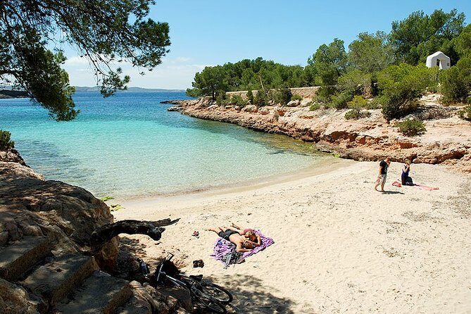 Adventurecat Half day tour - Boat Rental - No license required. - Who is This Tour Best For?