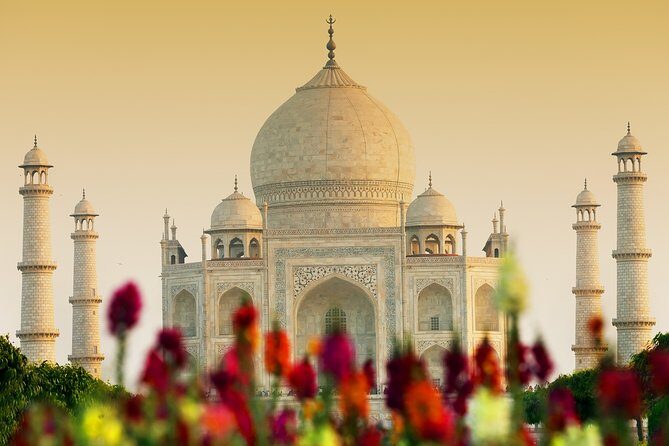 Adventurous & Classical India Curated Journey: South & Golden Triangle - What Do Reviewers Say?