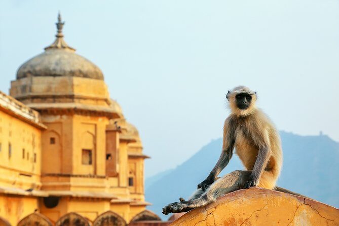 Adventurous & Classical India Curated Journey: South & Golden Triangle - Final Thoughts