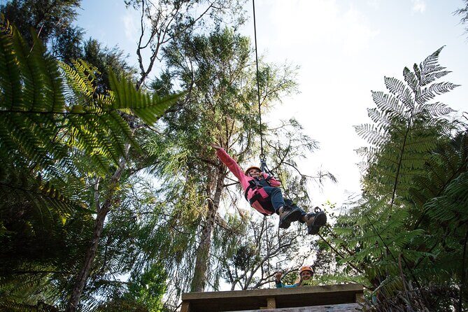 Adventurous Zipline Tour in Coromandel - FAQ