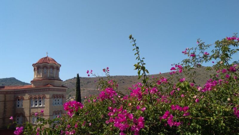 Aegina Island & Temple of Athina Aphaia Private Day Tour - Final Thoughts