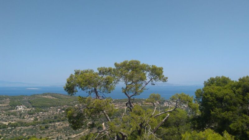 Aegina Island & Temple of Athina Aphaia Private Day Tour - FAQs