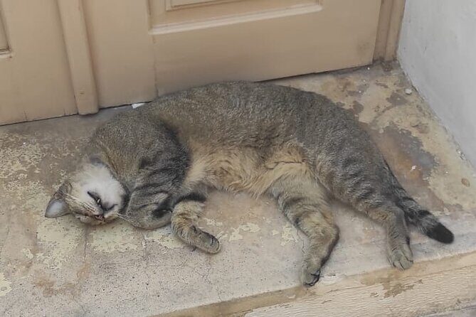 Aegina Town Walking Tour - Explore more on this guided tour! - The Sum Up