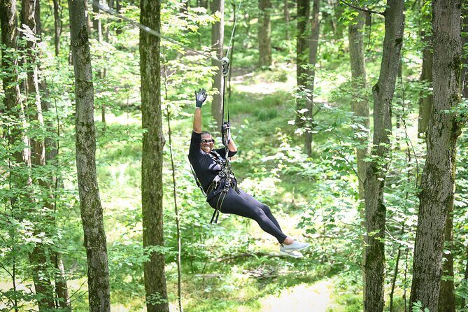 Aerial Adventure Park Admission - The Experience in Detail